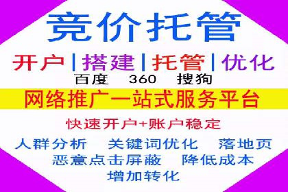 经典案例：SEM代运营服务公司的成功之路